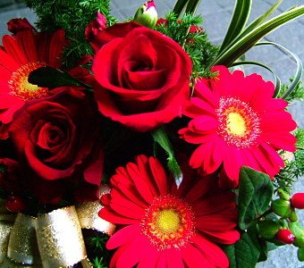 ���ޤ�������󥸥��ȡ���å�