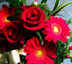 ���ޤ�������󥸥��ȡ���å�