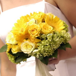 �����ǥ��󥰥֡���