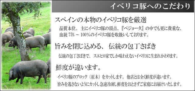 イベリコ豚へのこだわり