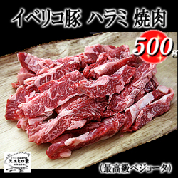 ���٥ꥳ�ڥ٥��硼���ϥ�߾���
