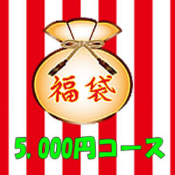 ��ǯ�����I LOVE SEOUL�ο���ʡ�ޡ��ȤäƤ⤪����5,000�ߥ�����