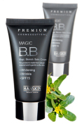 �ϥ󥹥���ץ�ߥ���ޥ��å�BB���꡼��