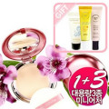 ���ꥷ�㥳�� ��NEW�ۥ����ˡ� �ߥͥ��ѥ���/11.5g �����ʣ������å�