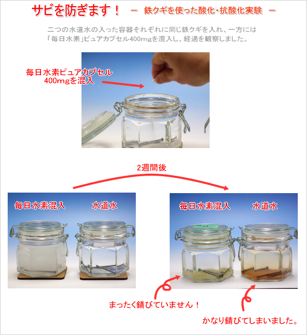 �������Ǥˤ�륵�Ӥμ¸�