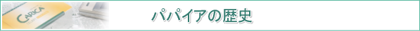 ���ꥫ�����PS501���ѥѥ���ȯ�ڿ���