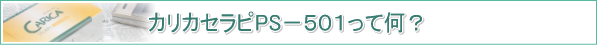 ���ꥫ�����PS501���ѥѥ���ȯ�ڿ���