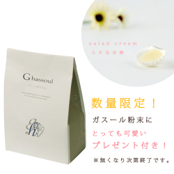 ��������ʴ�� 500g���ʥ�������