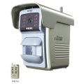 ����������������̵���� RITEX ���󥵡���ư���ơ�Ͽ�襫���400shot����C-800����饤�ƥå������ॵ����