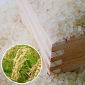 2011ǯ�ٿ��ơ�����������г��绺�ҤȤ�ܤ졡3kg