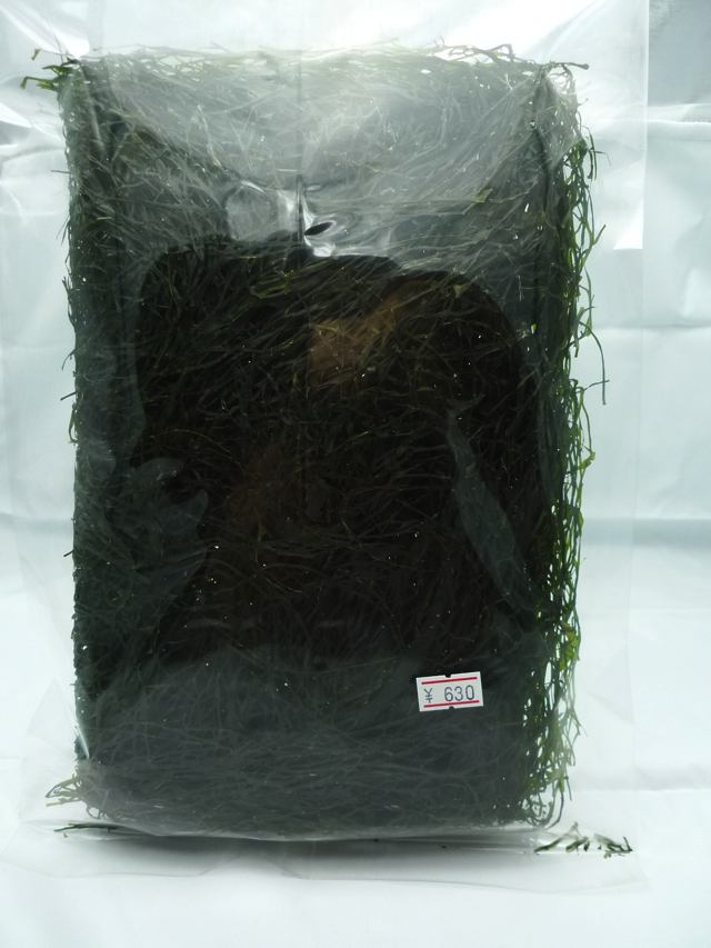 【三陸 すき昆布】 二枚入り 三陸すき昆布商品写真