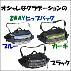 �������ʥ���ǡ�������2WAY�ҥåץХå�