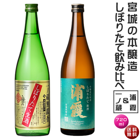 2025ichi_ura_honjyo720set