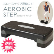 5F-9809�������ӥå����ƥå�