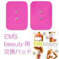 5F-3561EMS�ӥ塼�ƥ����򴹥ѥå�