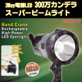 3�Ÿ�LED 300������ǥ顡�����ѡ��ӡ���饤��