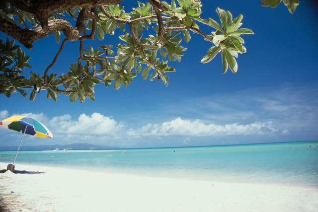 【クリックで詳細表示】Ocean Mist(アロマ/フレグランス/スティック/ディフューザ/香り/芳香剤/ジュリア/インテリア/ノーブルスパーク/エセンス)