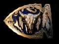 �Хå��롡SKA3E  Buffalo Skull in Arrowhead
