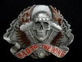 �Хå��롡SKM7E Bad to the Bone