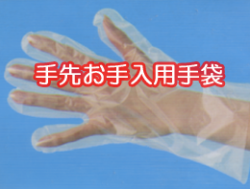 ���褪�����Ѽ���.png