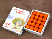 ���羮�ߤ��󡡣�kg��