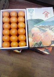 �����硡��Ƿ���������󤫤�