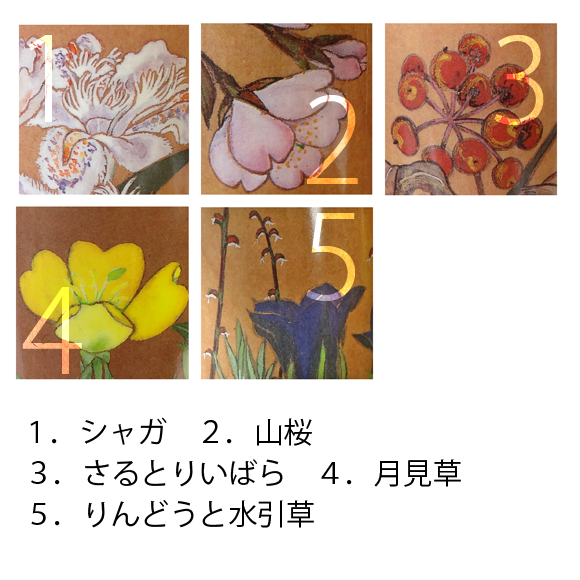 作家 ルーク＆サリーデュレット 花の万華鏡 万華鏡：ドライ]花の万華鏡・月見草：ルーク＆サリー