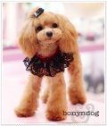 �������㥹�ʥ졼���ޥե顼(�֥�å���