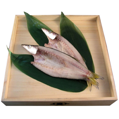 本かます(1枚) 本かます
