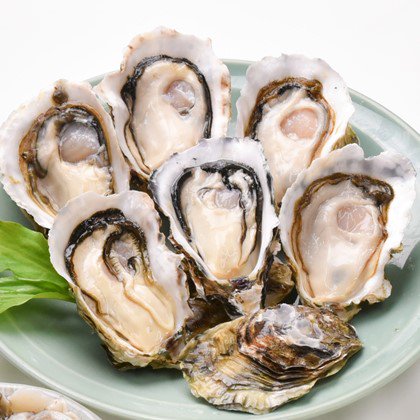 かなわ　生食用　かき小町6個セット