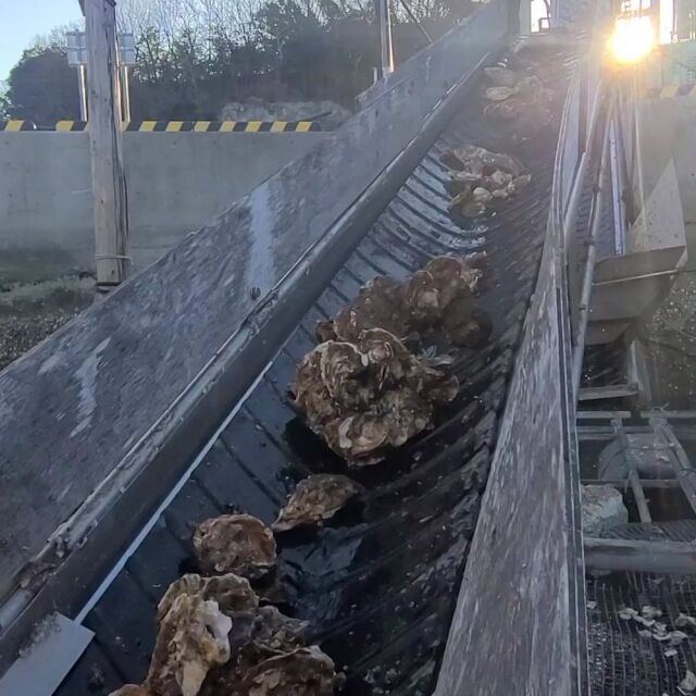 深江養殖場