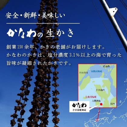 安全 新鮮 美味しい かなわの生かき　