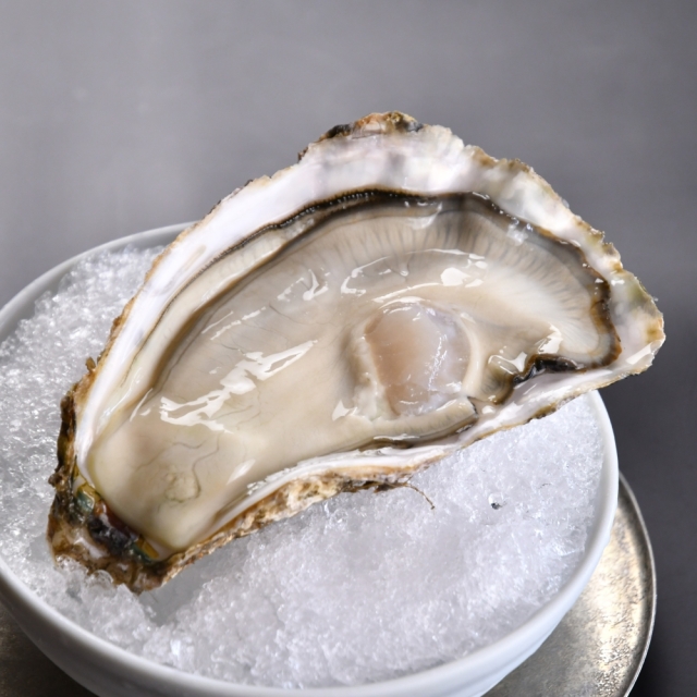 かきギフト》かき小町ハーフシェル12個入り｜広島牡蠣・広島かきの老舗