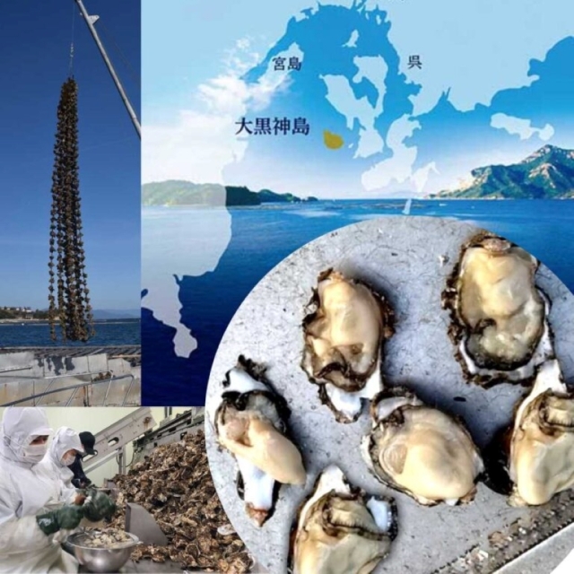 かなわ　かなわ海産　大黒神島　生食用　生かき　かなわの生かき　広島県産　牡蠣　かき