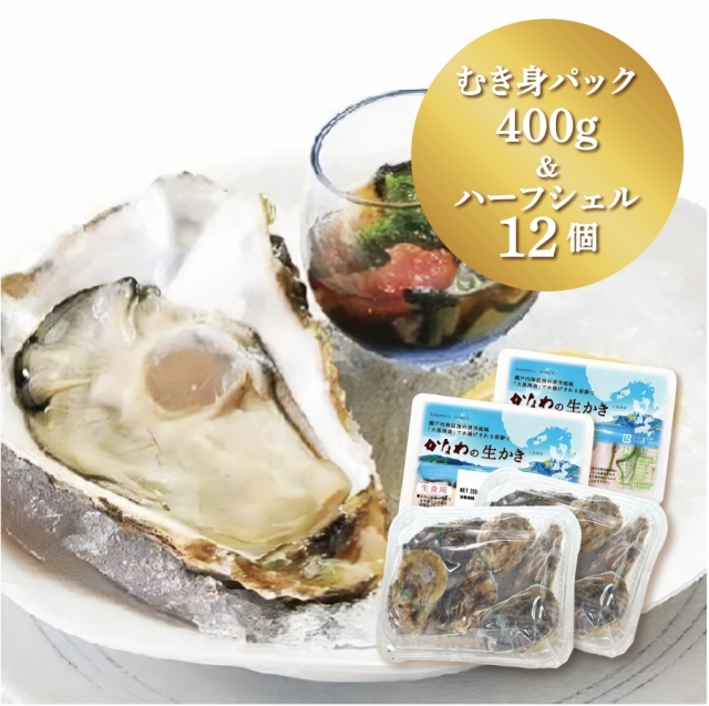 かきギフト》【生食用】生かきむき身パック400gとハーフシェル12