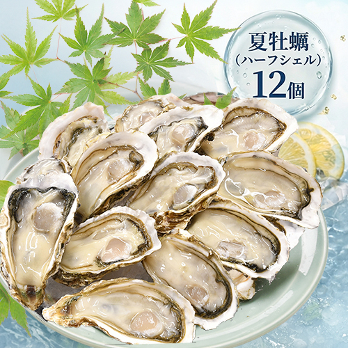 【夏牡蠣】《生食用》ハーフシェルオイスター 12個入