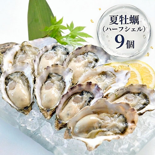 【夏牡蠣】《生食用》ハーフシェルオイスター 9個入