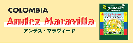 アンデス マラヴィーヤ1