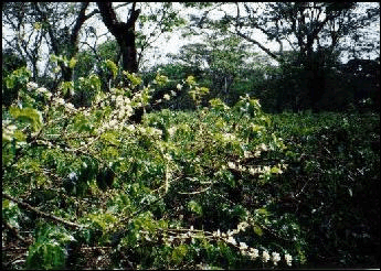 masama01-2.gif