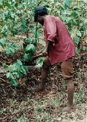 masama02-2.gif