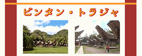 ビンタン・トラジャ