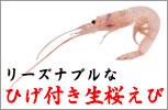 �꡼���ʥ֥�ʤҤ��դ���������