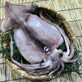 ���봳��������