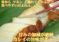 ���쥤�ߤ��ʣ��ڤ�ˡ������ߤ���Ҥ�����ȥĿ͵�No.����