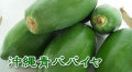 ���컺���ĥѥѥ���