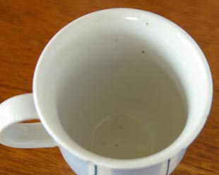 �����ơ�����ƫ˼���Ϥ���ʸ�Υޥ����åפ�夫�鸫��