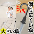���ˤ������礭���ӥˡ��뻱