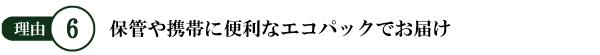 保管や携帯に便利なエコパックでお届け!