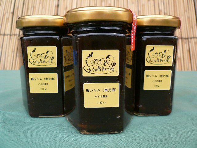 バイオ農法 梅ジャム（南光梅） 180g