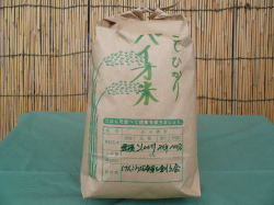 【土蔵貯蔵】バイオ米（こしひかり） 5Kg